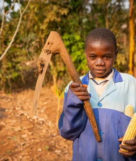 A young farmer child with a hoe in his hand and a cob of corn, African children in the fields.
